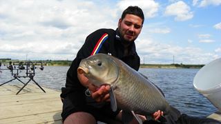 Buffalo Carp - Tancabsti
